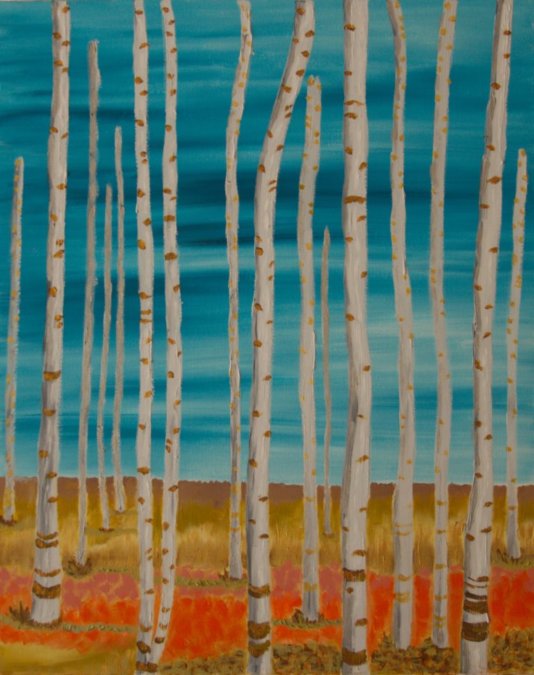 bare birch grove