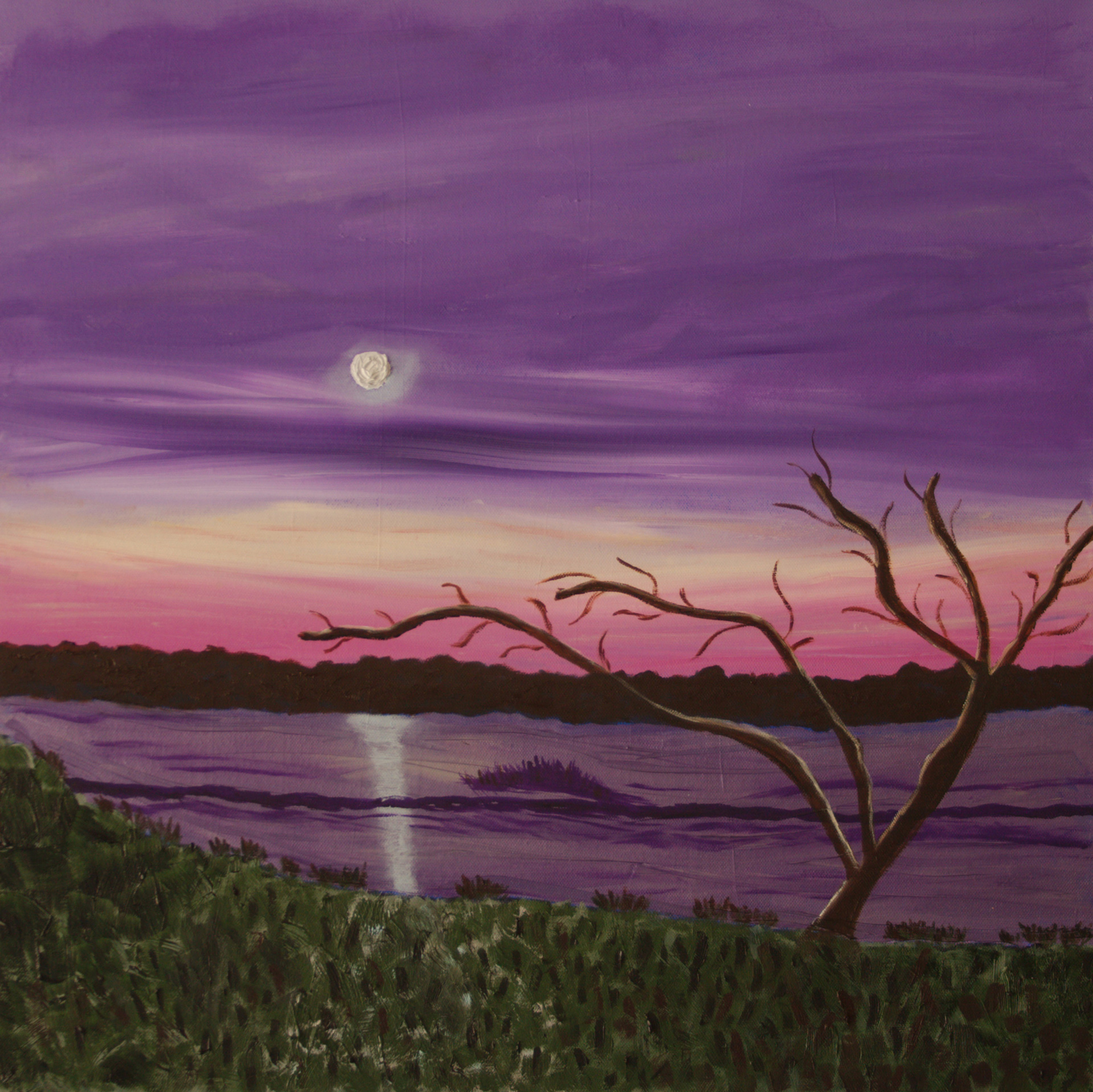 crocodile moonlight