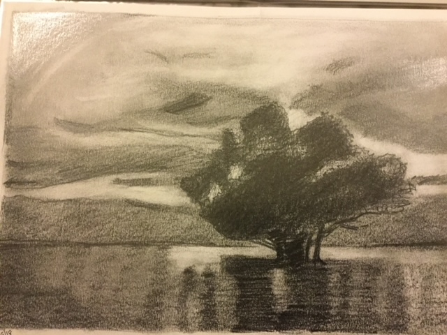 tree sketch in pencil